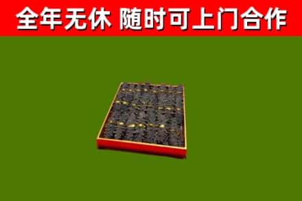 逊克回收海参